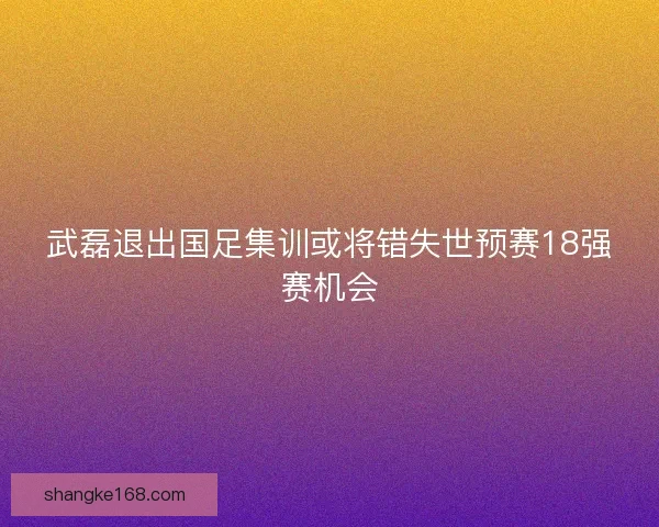 武磊退出国足集训或将错失世预赛18强赛机会