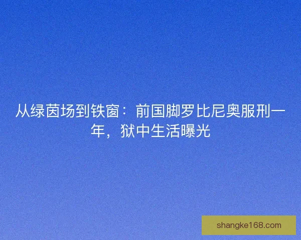 从绿茵场到铁窗：前国脚罗比尼奥服刑一年，狱中生活曝光