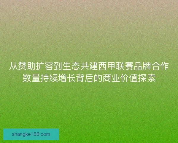 从赞助扩容到生态共建西甲联赛品牌合作数量持续增长背后的商业价值探索